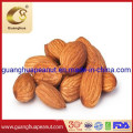 Hot Sales High Grade Almonds